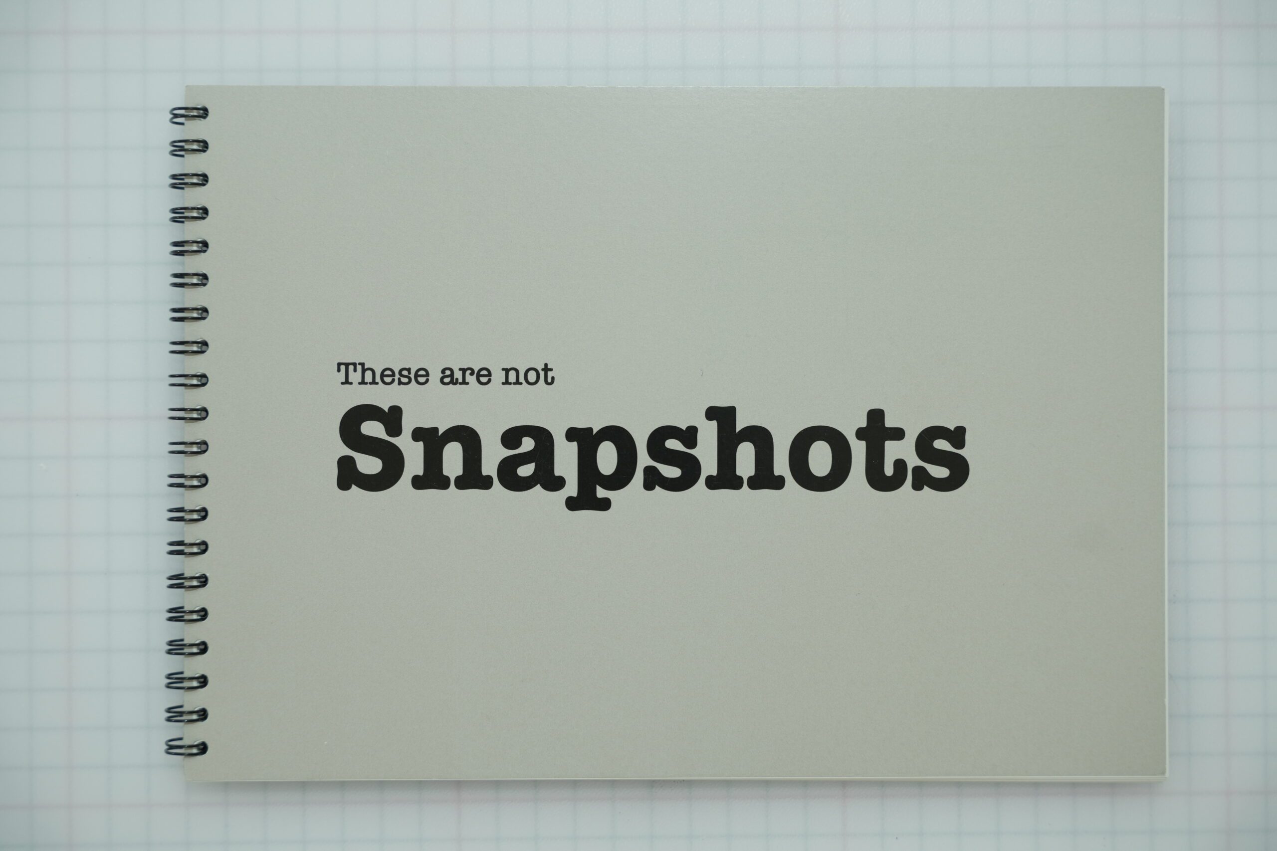 These are not snapshots, they are conversations between image and Ai