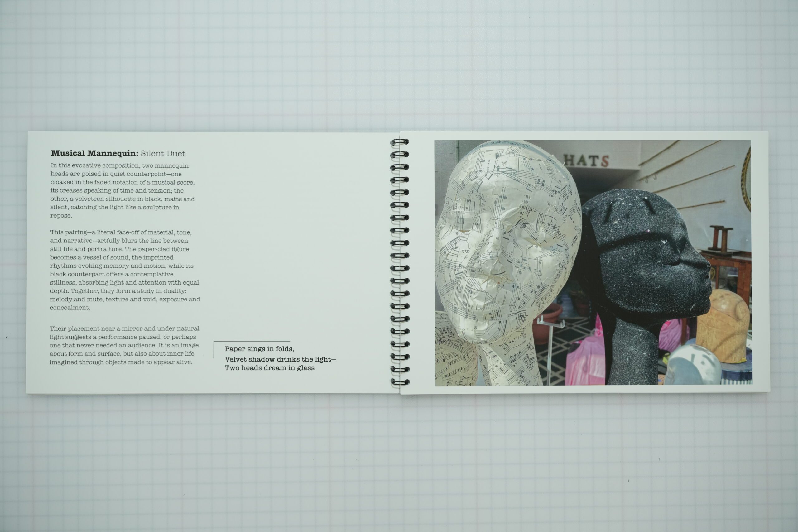 These are not snapshots, they are conversations between image and Ai - Image 2