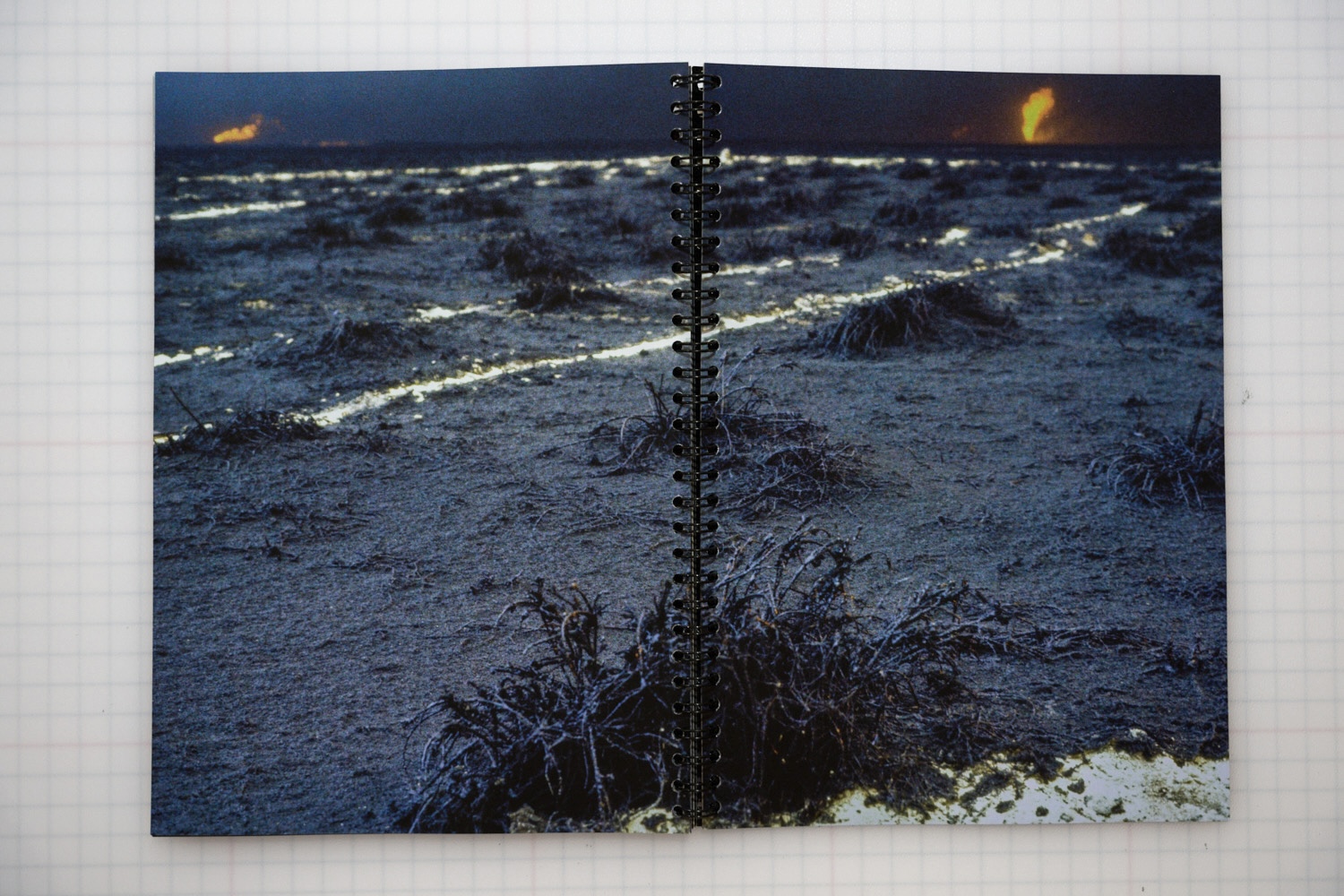 Black Desert - Image 2