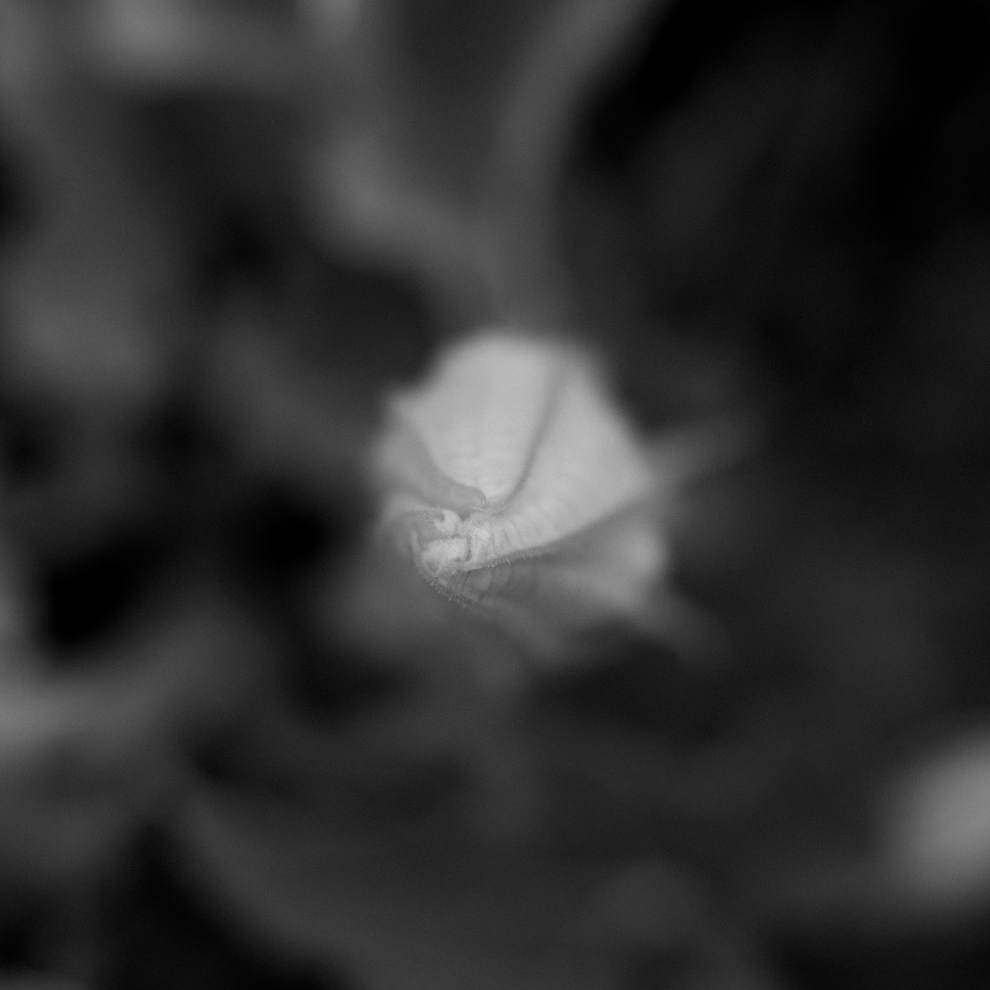 Simon's zine - Image 2