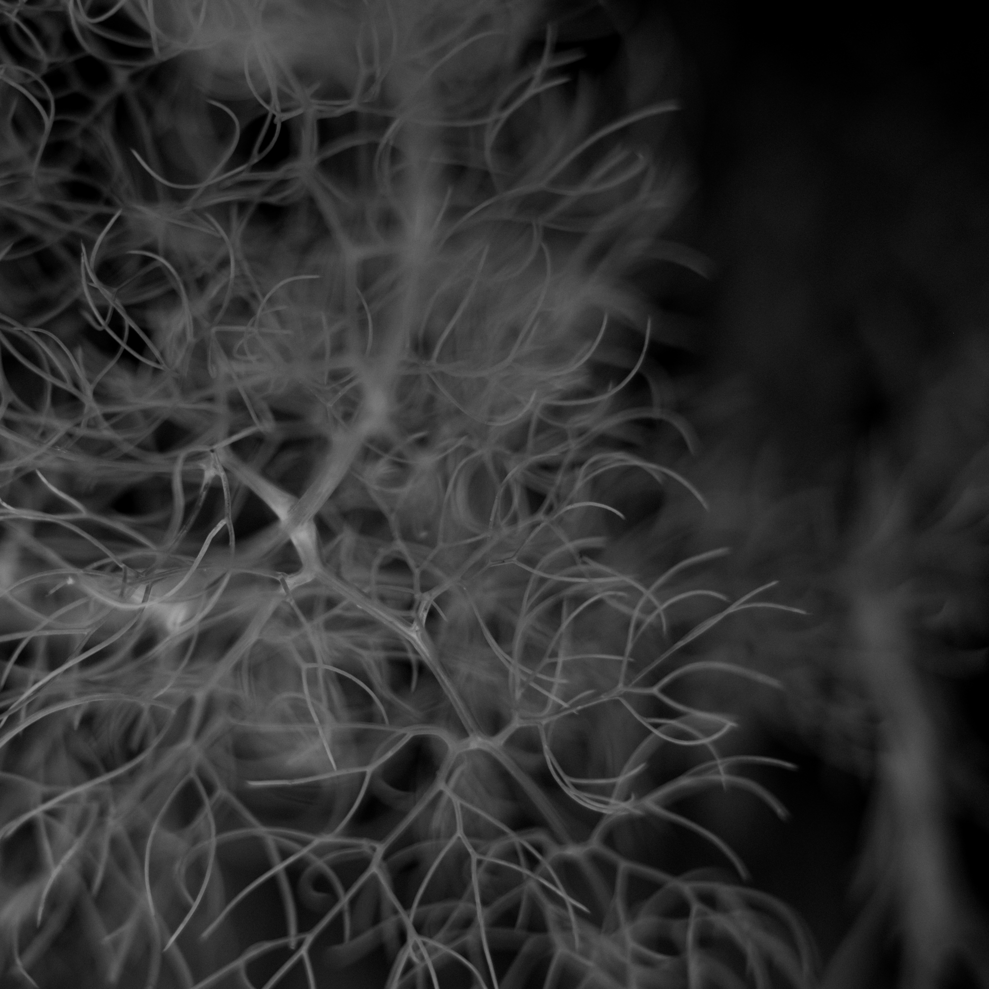 Simon's zine - Image 4