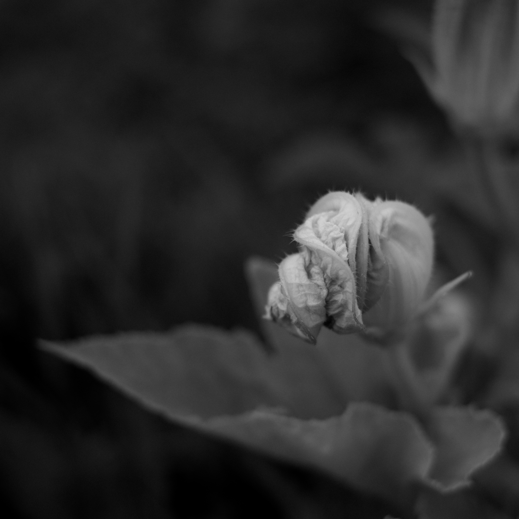 Simon's zine - Image 5